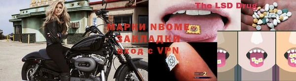 ПСИЛОЦИБИНОВЫЕ ГРИБЫ Абаза
